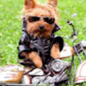 Meet your Posher, Jackie